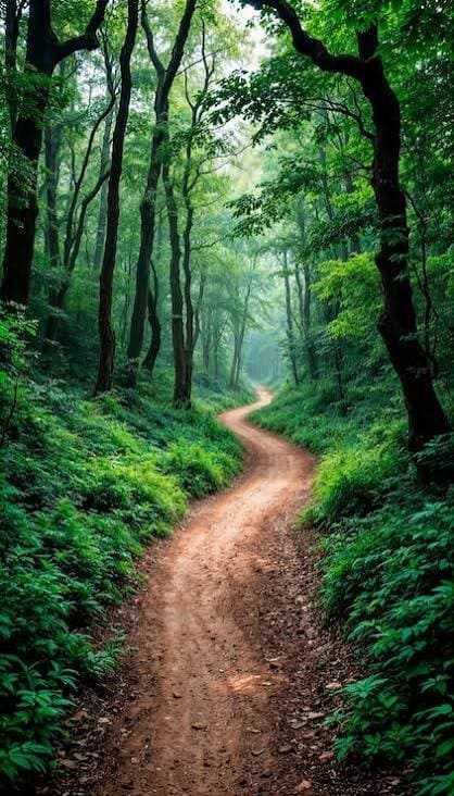 Nature Walk